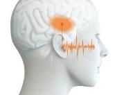 Jak mózg przetwarza dźwięki? – terapeutyczne...
