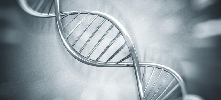 W 2023 r. odnaleziono blisko 1,5 tys. „bliźniaków genetycznych”