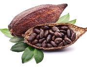 Składnik kakao związany z polepszeniem niektórych...