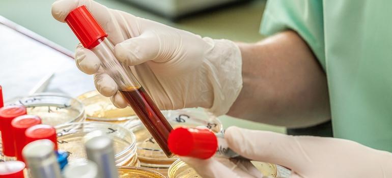 Ekspert: niedokrwistość i niedobór płytek krwi mogą być objawem rzadkiej groźnej, śmiertelnej choroby