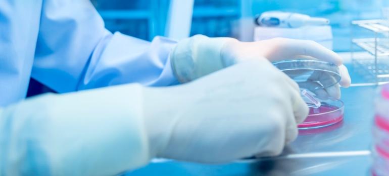 Polscy naukowcy odkryli nowy podtyp chłoniaka, co pozwala skutecznie leczyć chorych