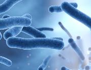 Ekspertka: coraz więcej zakażeń bakterią...