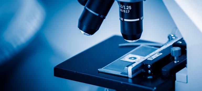 Polski tani test wykrywający 70 genów odpowiedzialnych za nowotwory