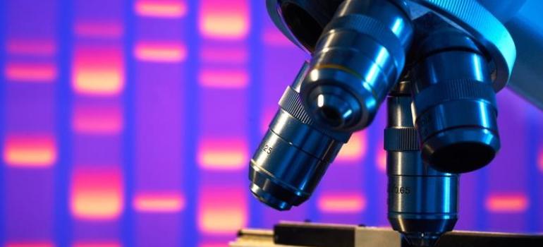 Polscy naukowcy opracowali innowacyjną metodę badań genetycznych