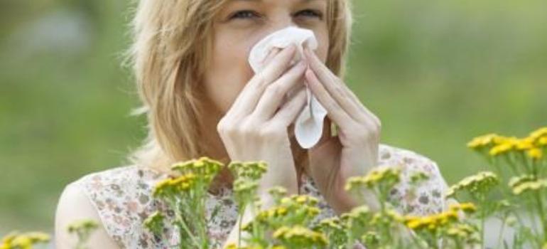 Alergia - epidemia naszych czasów