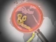 WHO: tempo zachorowań na ebolę przekracza...