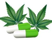 O leczniczym zastosowaniu marihuany