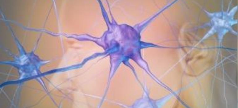 To tau, a nie beta-amyloid uruchamia obumieranie neuronów w alzheimerze