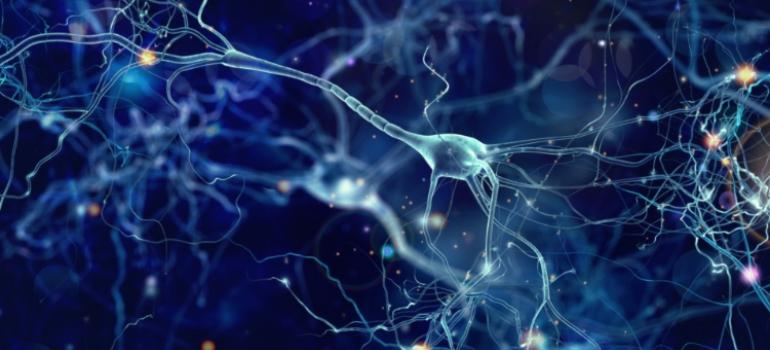 Neuronaukowcy identyfikują małą cząsteczkę, która przywraca funkcje wzrokowe po uszkodzeniu nerwu wzrokowego