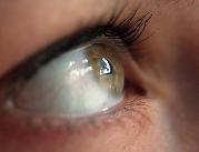 Odkrycie nowego mechanizmu w ludzkim oku