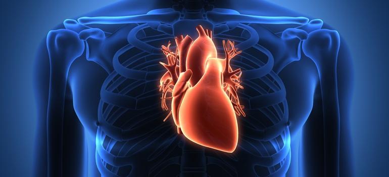 Nieniszczące obrazowanie 3D pomaga ratować chore serca