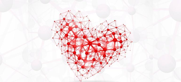 Śląskie: Naukowa Sieć Kardiologiczna umożliwi prowadzenie badań w zakresie leczenia pacjentów