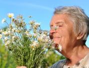 Czy stępienie węchu oznacza początek Alzheimera?